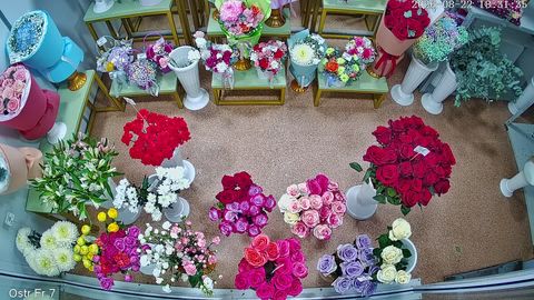 Example of a live stream of a flower display
