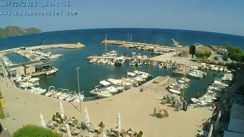 Live stream: the quay and the yacht berths