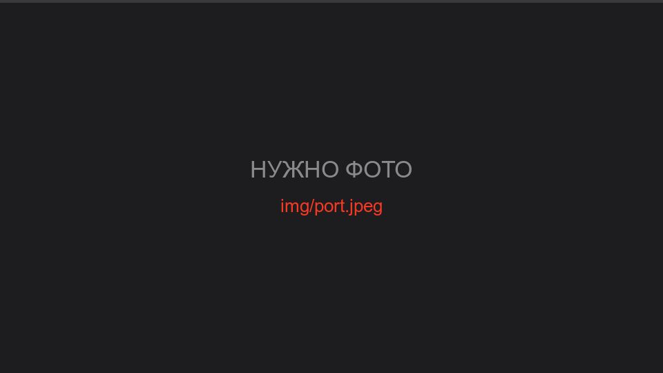 Онлайн-вид причала порта с судами и перегрузочной техникой